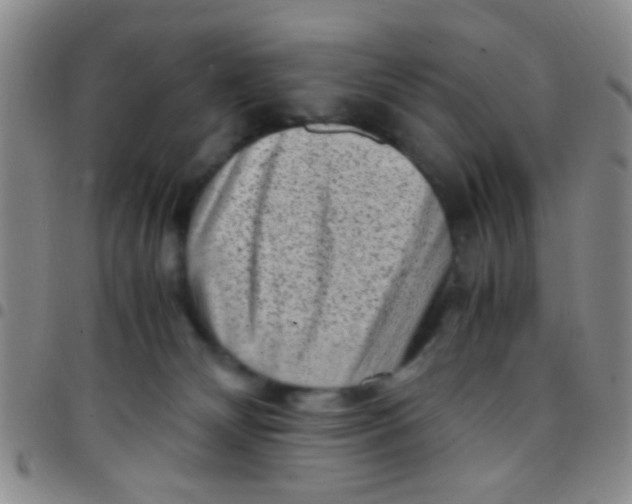 X0000097500132200803142028