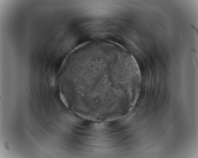 X0000097500134200803142028