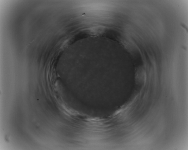 X0000097500137200803142028