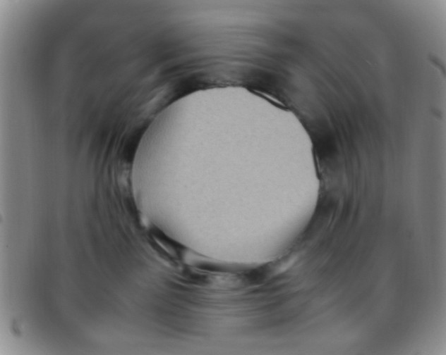 X0000097500141200803142028