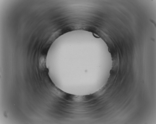 X0000097500142200803142028