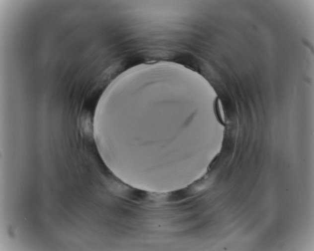 X0000097500143200803142028