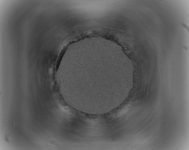 X0000097500144200803142027