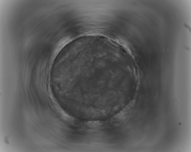 X0000097500145200803142027