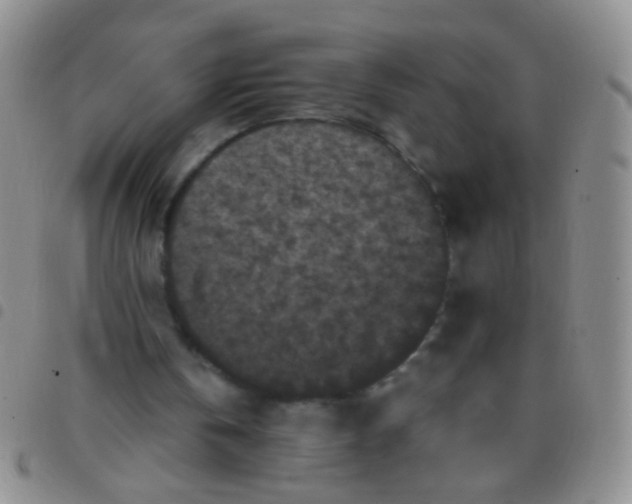 X0000097500146200803142027