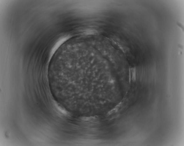 X0000097500147200803142027