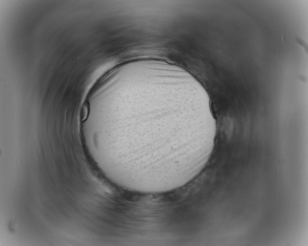 X0000097500148200803142027