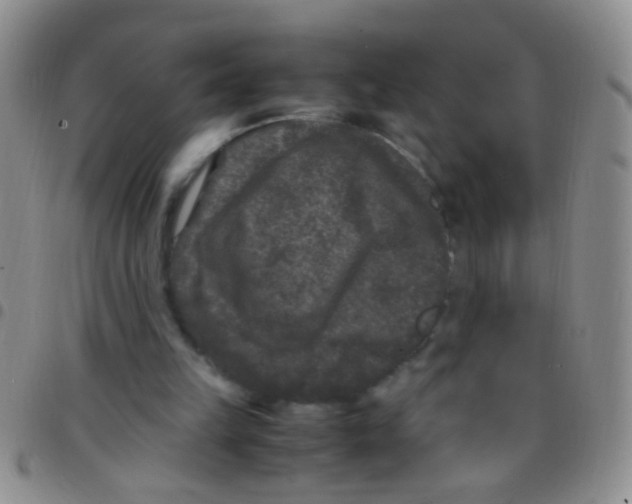 X0000097500149200803142027