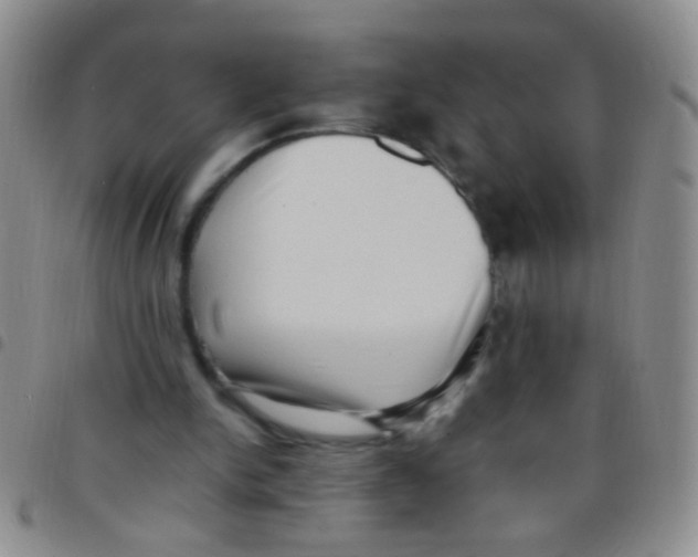 X0000097500150200803142027