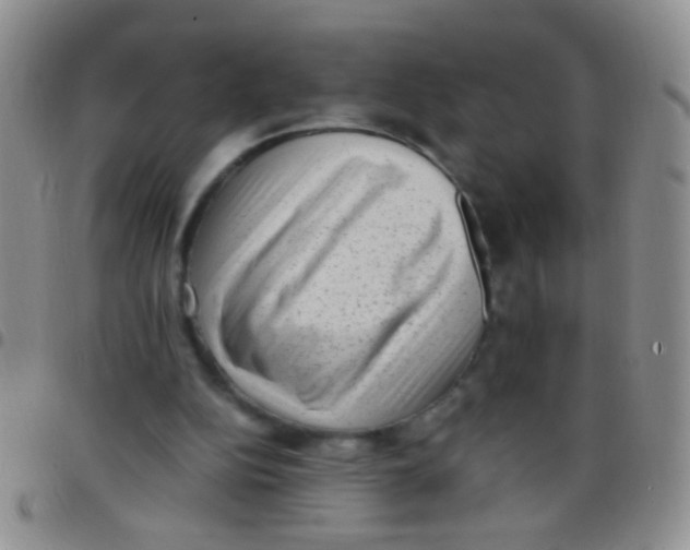 X0000097500152200803142027
