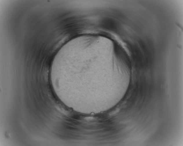 X0000097500153200803142027