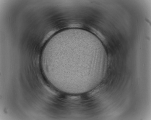 X0000097500155200803142027