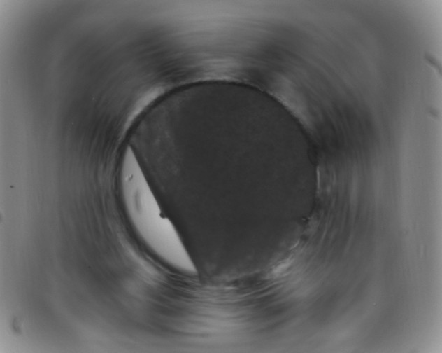 X0000097500156200803142027