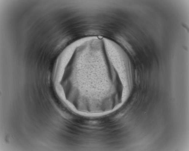 X0000097500157200803142027