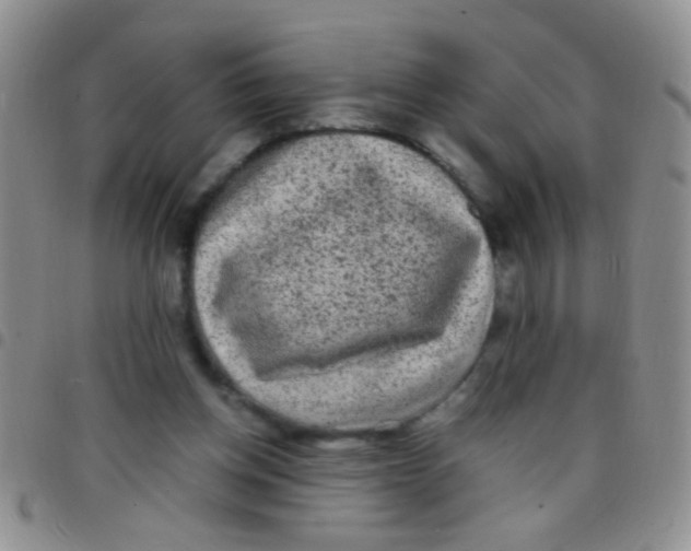 X0000097500158200803142027