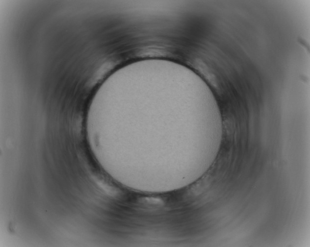 X0000097500159200803142027