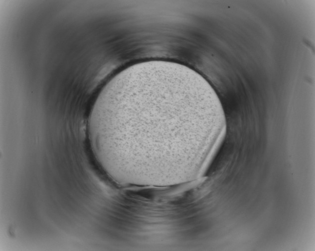 X0000097500160200803142027