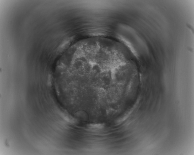 X0000097500161200803142027