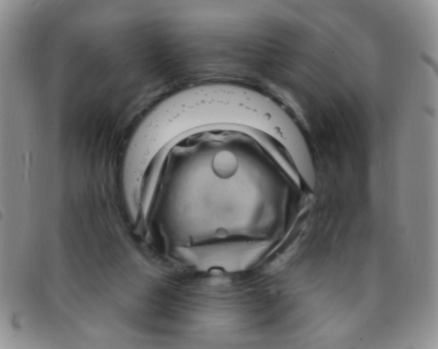 X0000097500162200803142027