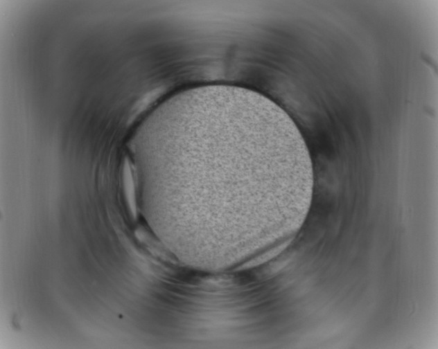 X0000097500164200803142027