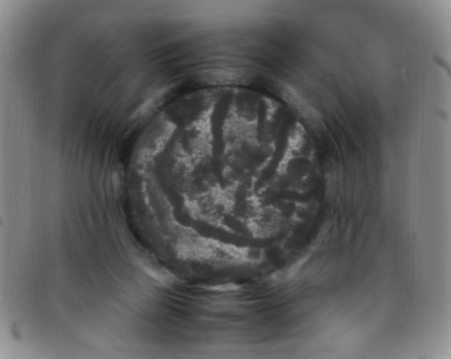 X0000097500165200803142027