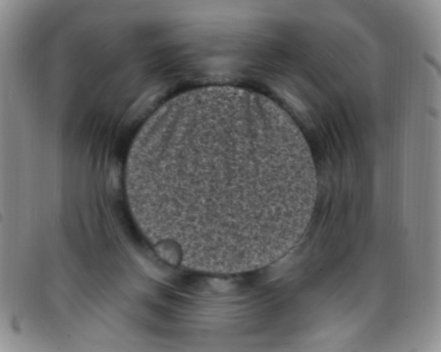 X0000097500166200803142027