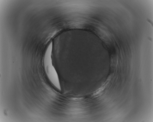 X0000097500168200803142027
