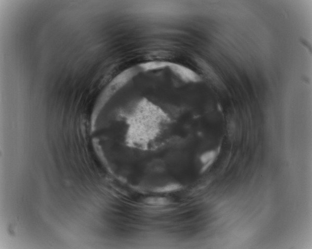 X0000097500169200803142027