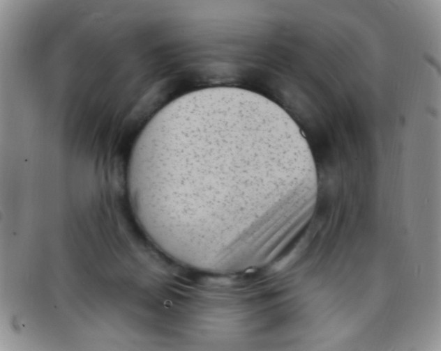 X0000097500170200803142027