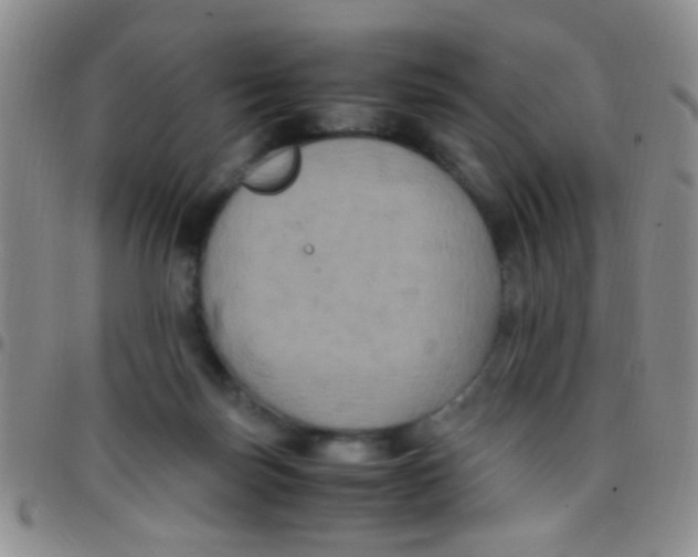 X0000097500171200803142027