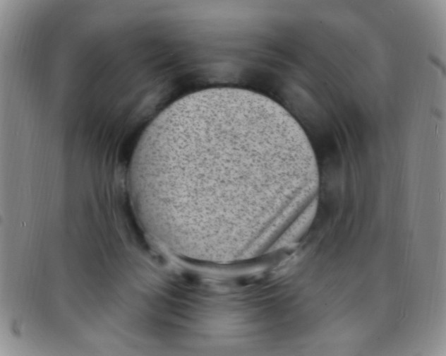 X0000097500172200803142027