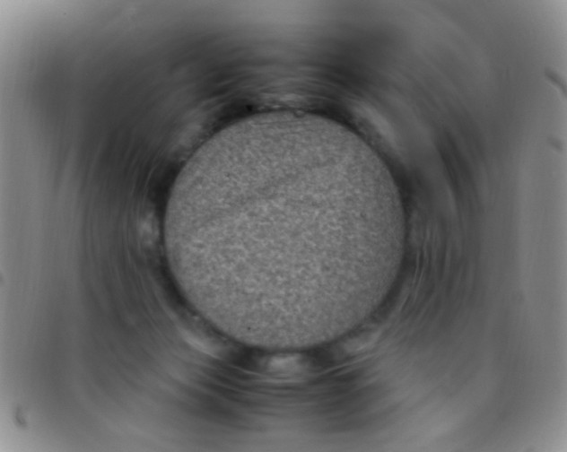 X0000097500173200803142027