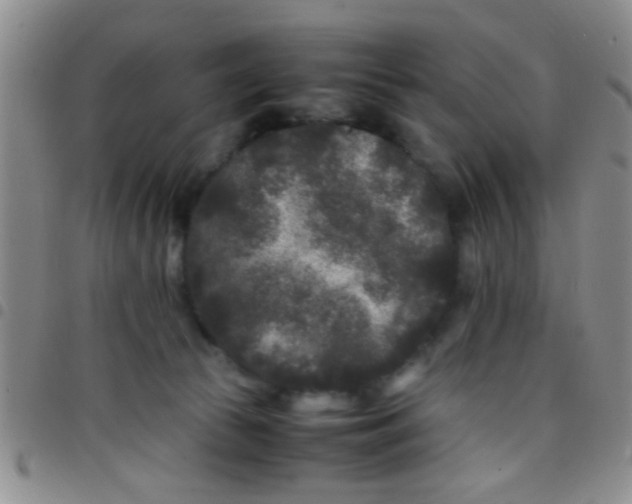 X0000097500177200803142027