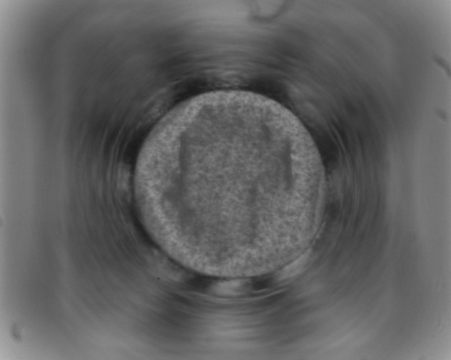 X0000097500178200803142027