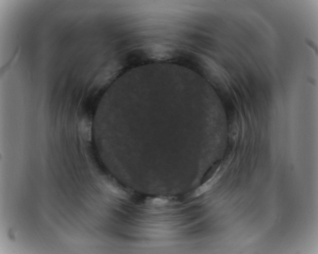 X0000097500180200803142027