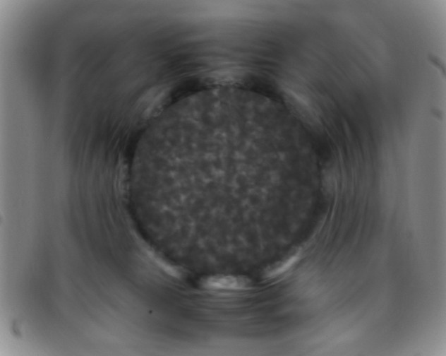X0000097500181200803142027