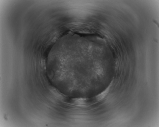 X0000097500182200803142027