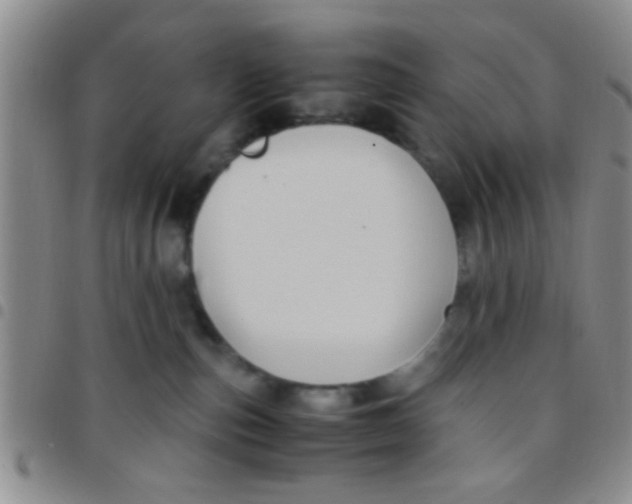 X0000097500187200803142027