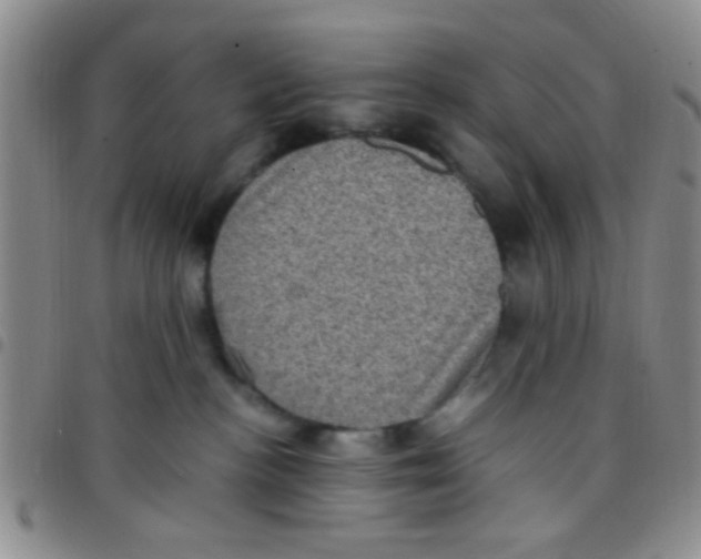 X0000097500188200803142027