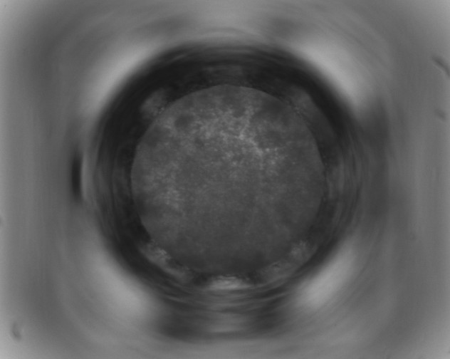 X0000097500189200803142027