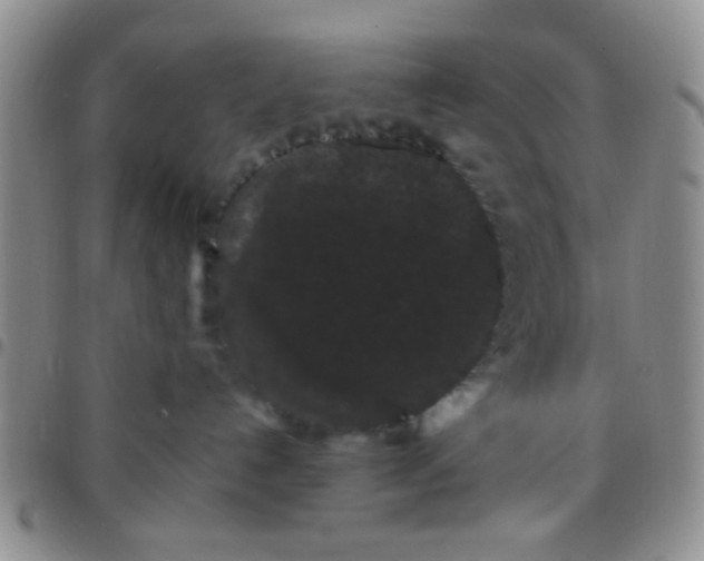 X0000097500192200803142027