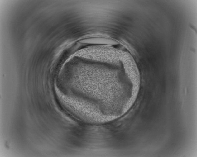 X0000097500193200803142027