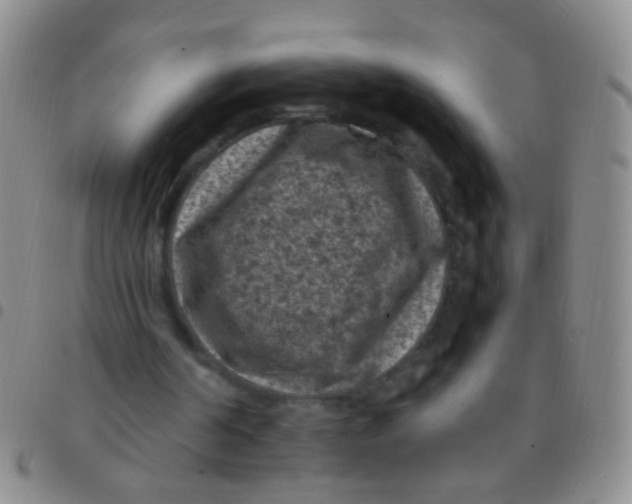 X0000097500194200803142027