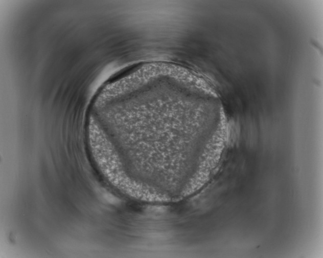 X0000097500195200803142027