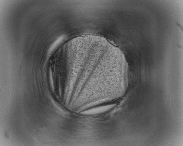 X0000097500197200803142027
