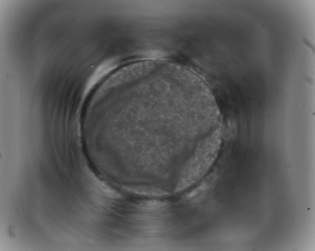 X0000097500198200803142027