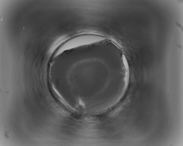 X0000097500199200803142027