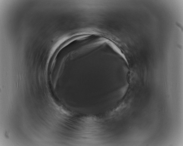 X0000097500200200803142027
