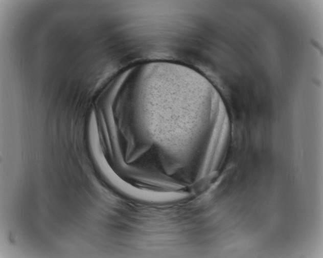X0000097500201200803142027
