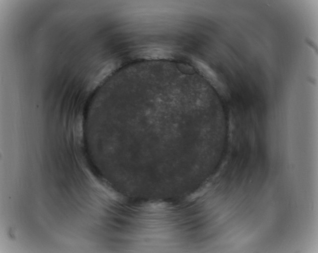 X0000097500202200803142027